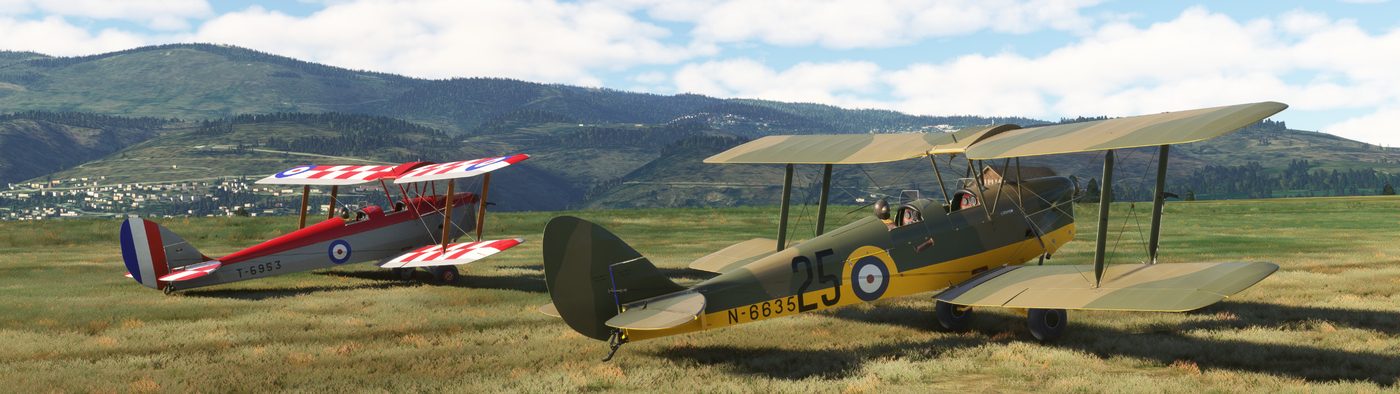 De Havilland DH82 Tiger Moth — entrenament elemental